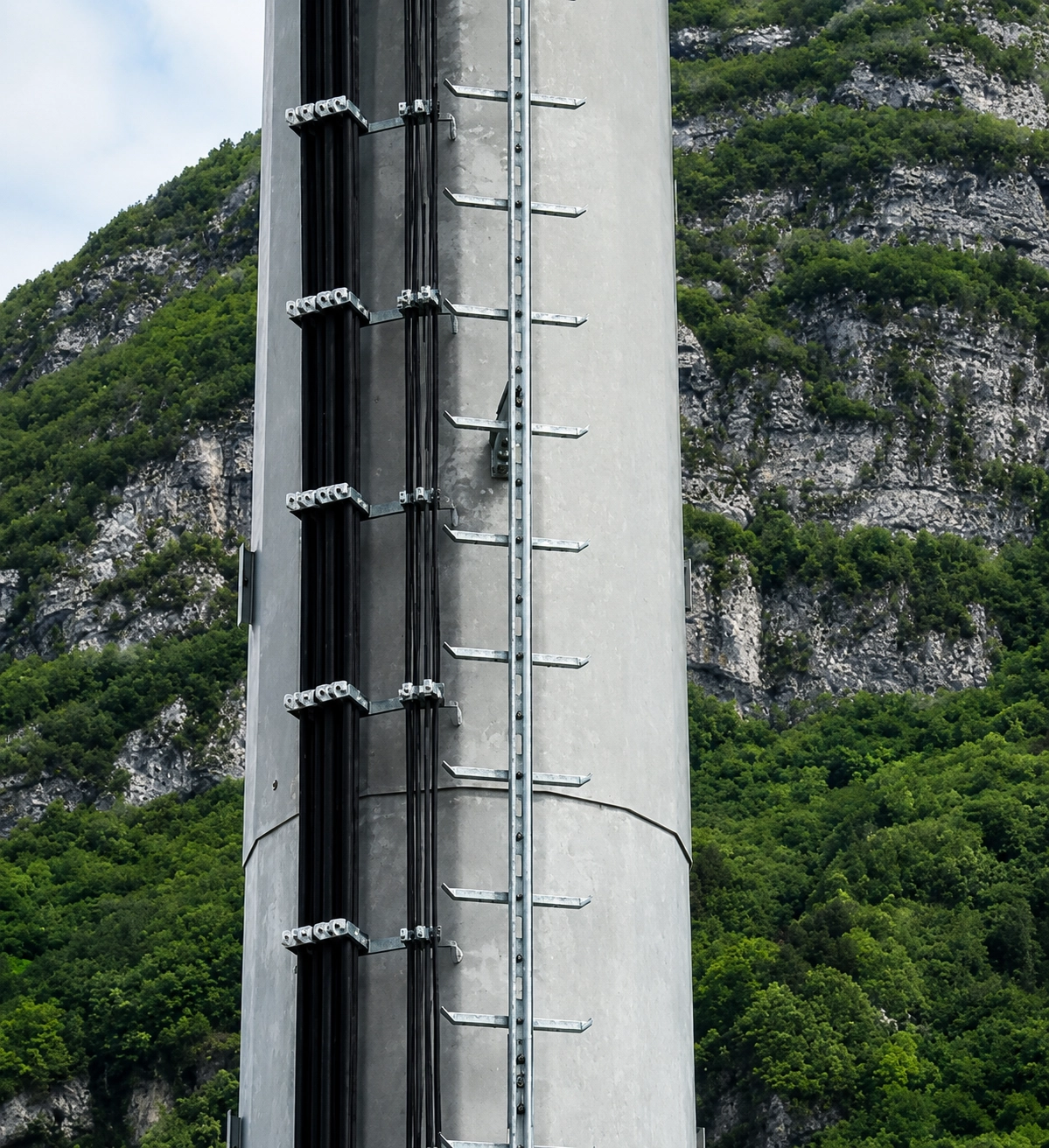Fall safe ladder on pole